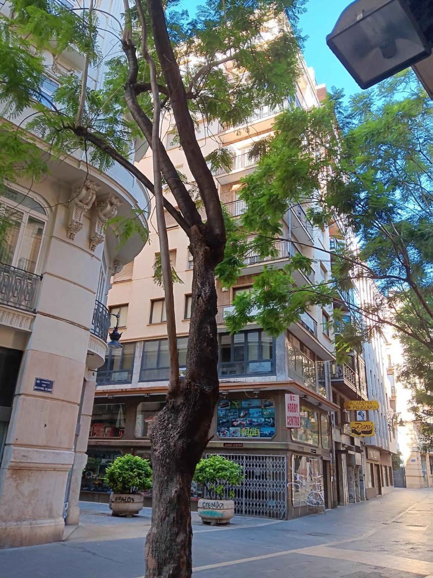 Apartamento Familiar Centro Historico Plaza Ayuntamiento "Ciutat Vella" Valencia Ngoại thất bức ảnh